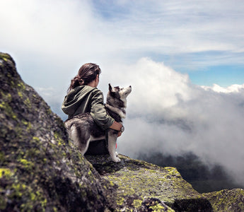 Fem turforslag til deg med hund