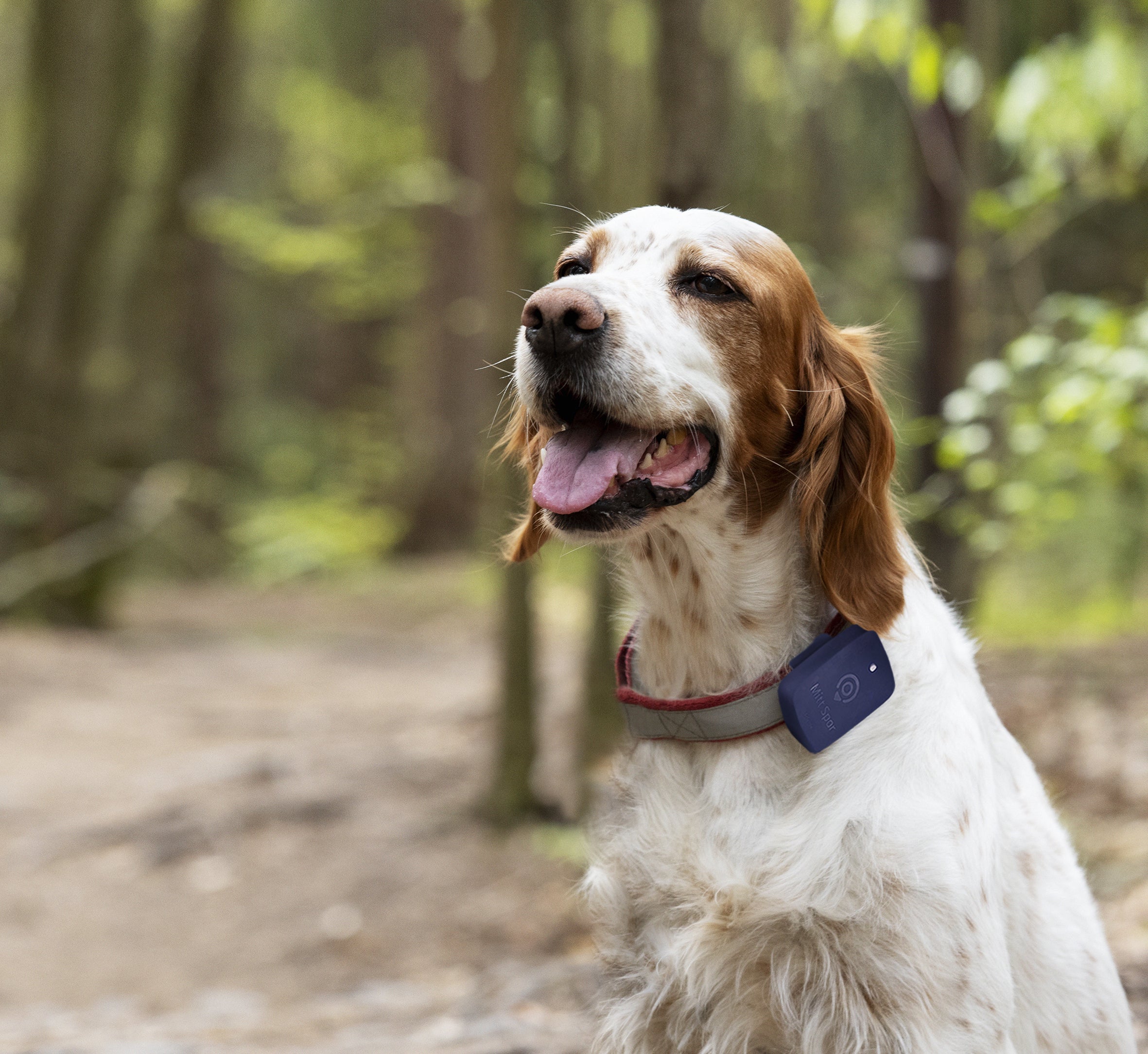 Mitt Spor – GPS-sporing for hund
